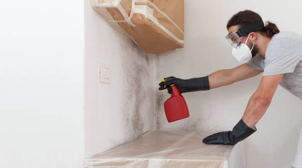 Professional Bathroom Mold Removal technician working in Erwin, TN