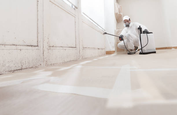 24/7 Emergency Bathroom Mold Removal experts in Erwin, TN
